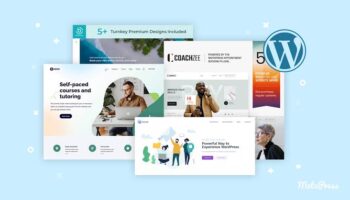 What WordPress Theme is That? Spy a Website Theme!